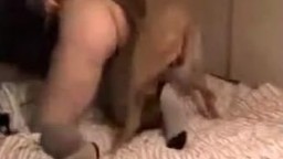 Реальный анимал секс с домашней собакой и распутной мамкой