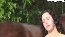 Кудрявая латинка чувственно сосет у коня - лучшее видео на мобильный